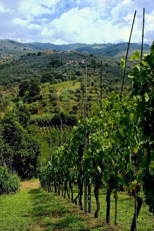 Villa Antico Borghetto Di Tigliano Vinci Eksteriør billede