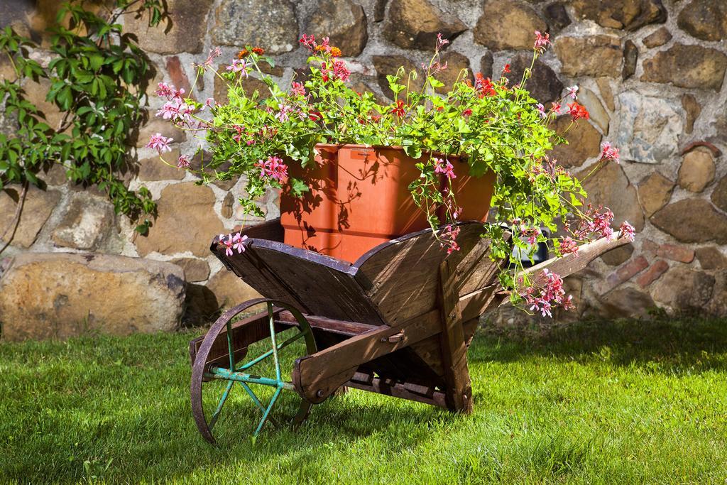 Villa Antico Borghetto Di Tigliano Vinci Eksteriør billede